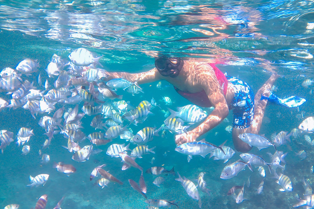 Snorkel Lovers, excursión educativa con 2 paradas de snorkel para todas las edades